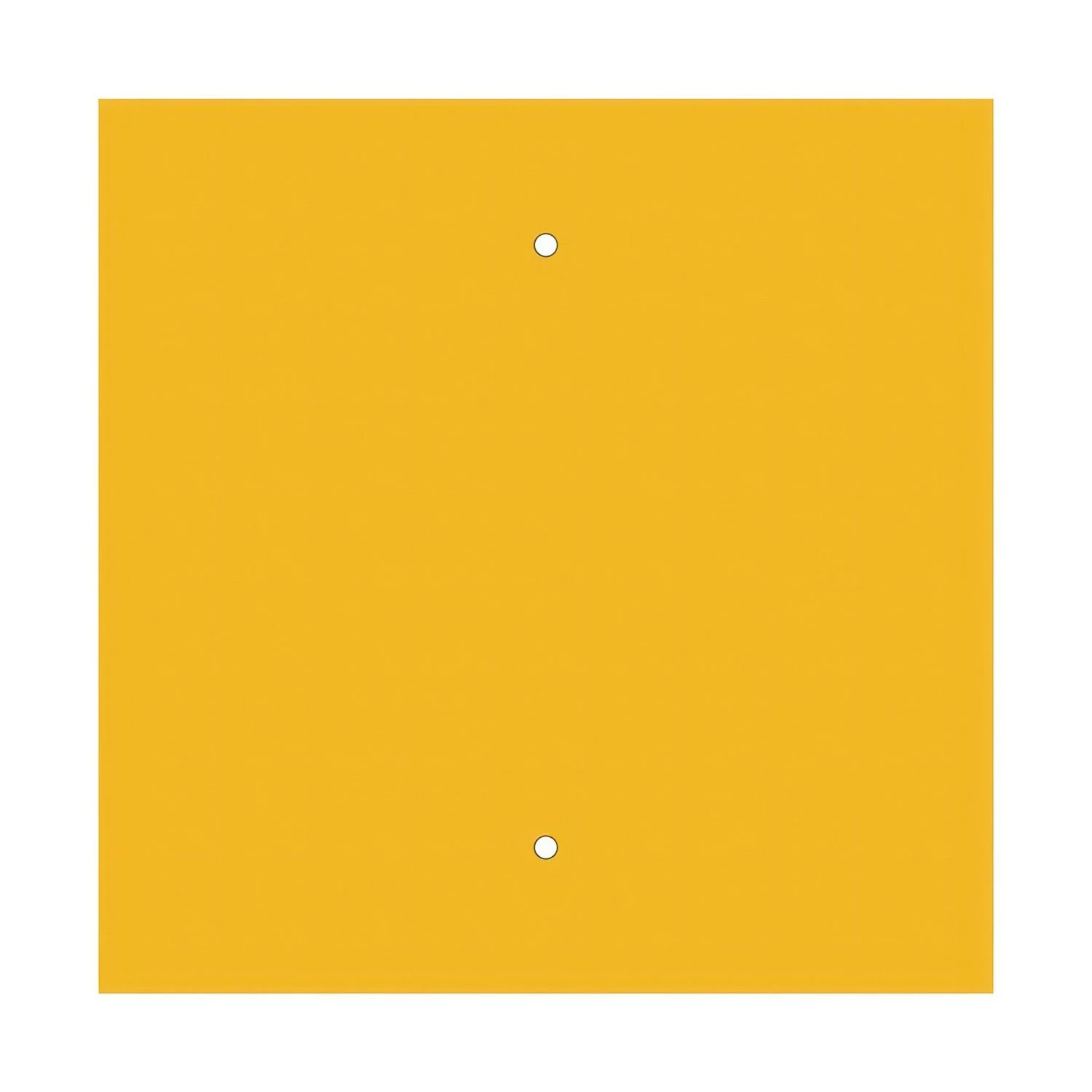 2 Holes - EXTRA LARGE Square Ceiling Canopy Kit - Rose One System