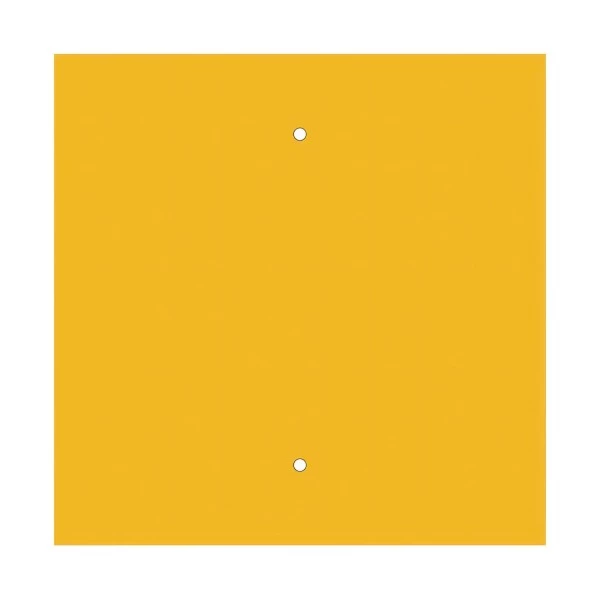 2 Holes - EXTRA LARGE Square Ceiling Canopy Kit - Rose One System